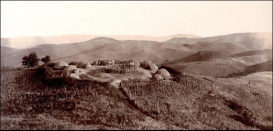 Kaffir Kraal  Zulu Land 1903 (7)