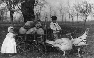 turkey-pulled-wagon